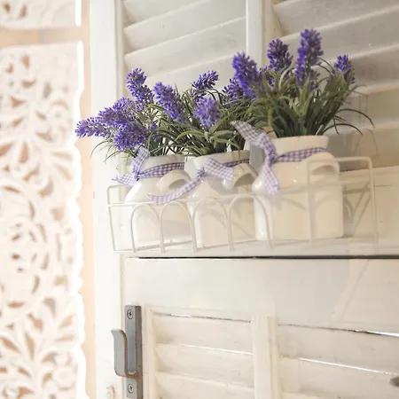 アパート La Salamandre A *