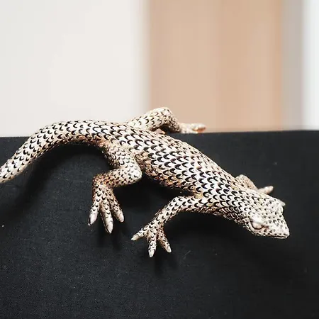 La Salamandre A アパート