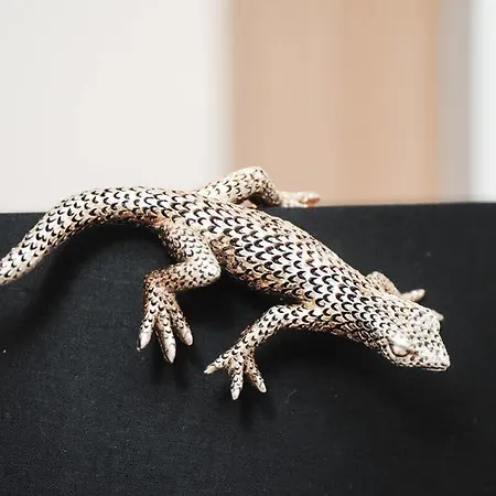 La Salamandre A Daire