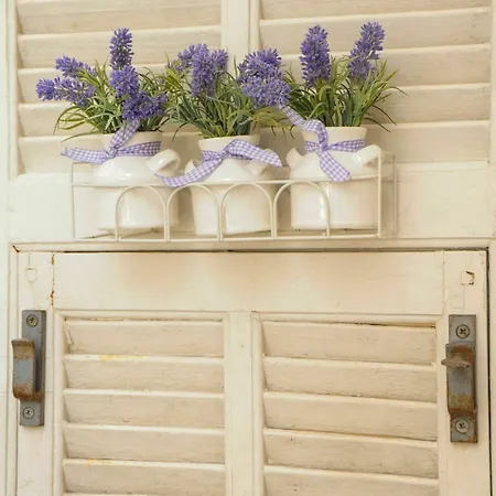 La Salamandre A Ницца