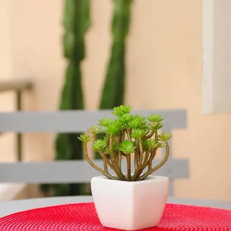 公寓 La Salamandre A 尼斯